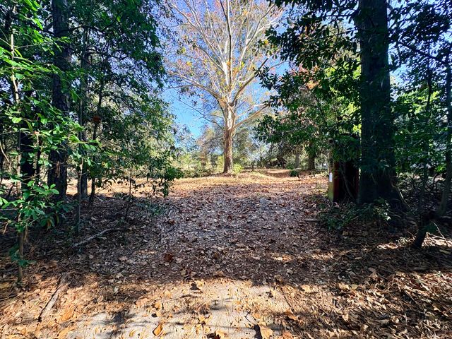 1409 Fairview Road, Pelion, SC 29123