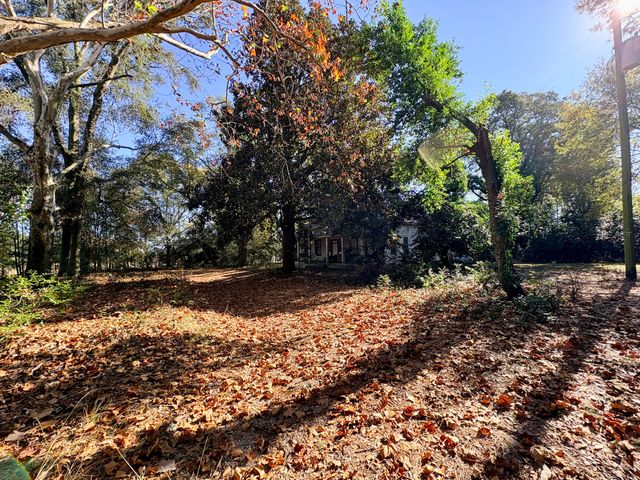 1409 Fairview Road, Pelion, SC 29123