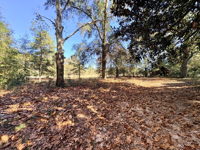 1409 Fairview Road, Pelion, SC 29123