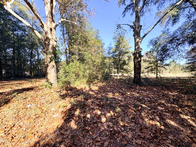 1409 Fairview Road, Pelion, SC 29123