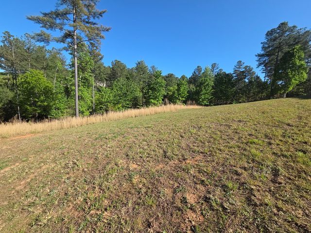 182 Loop Lane, Blairsville, GA 30512
