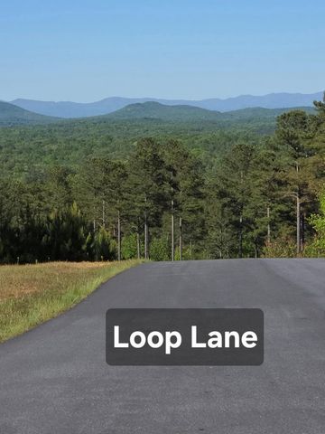 182 Loop Lane, Blairsville, GA 30512