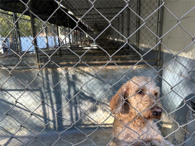 24392 LANARK ROAD, Brooksville, FL 34601