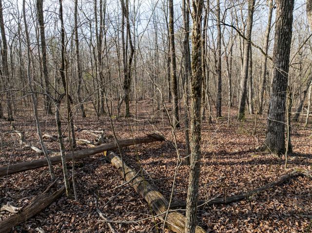 0 Timberwood Trace, Tracy City, TN 37387