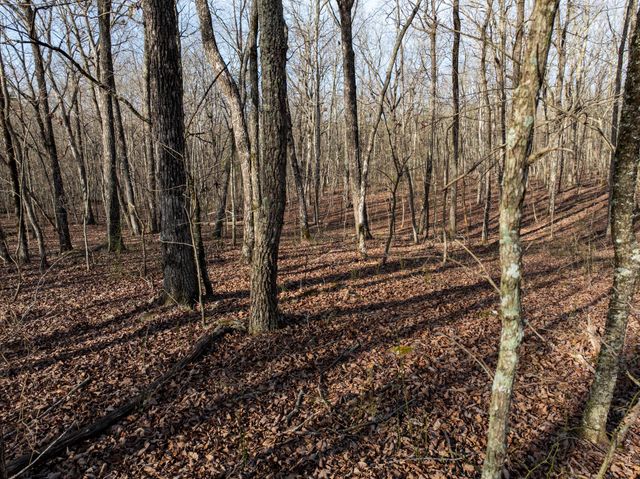 0 Timberwood Trace, Tracy City, TN 37387