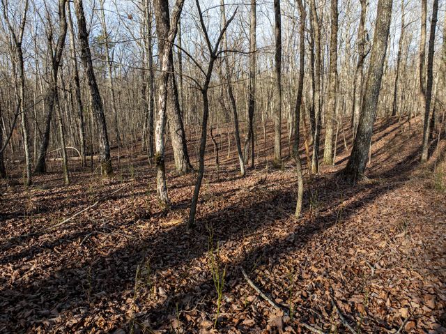 0 Timberwood Trace, Tracy City, TN 37387