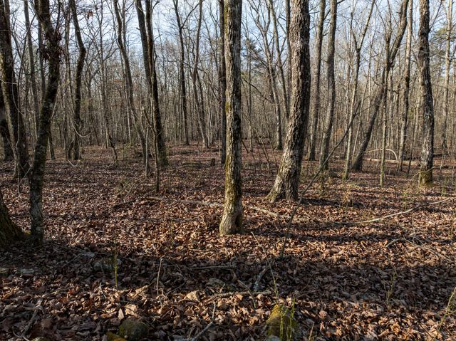 0 Timberwood Trace, Tracy City, TN 37387