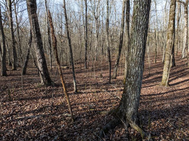0 Timberwood Trace, Tracy City, TN 37387