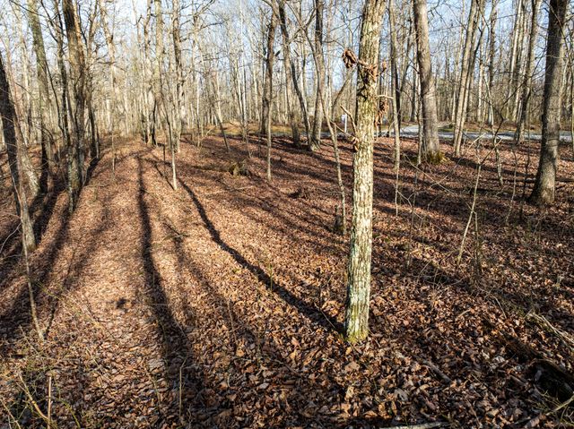 0 Timberwood Trace, Tracy City, TN 37387