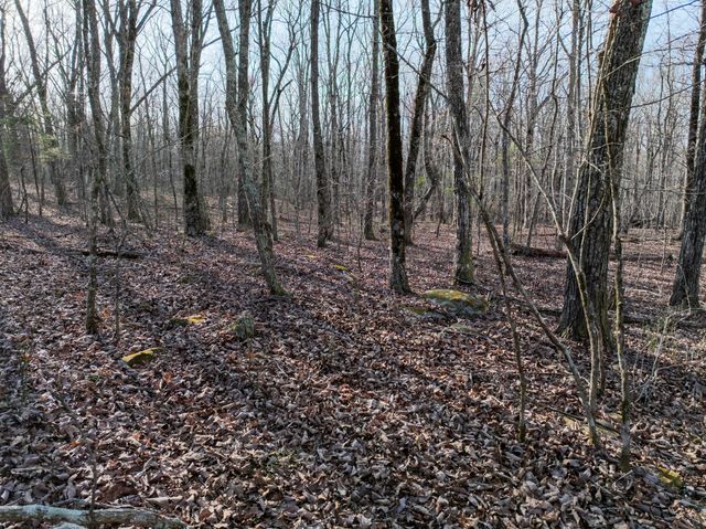 0 Timberwood Trace, Tracy City, TN 37387