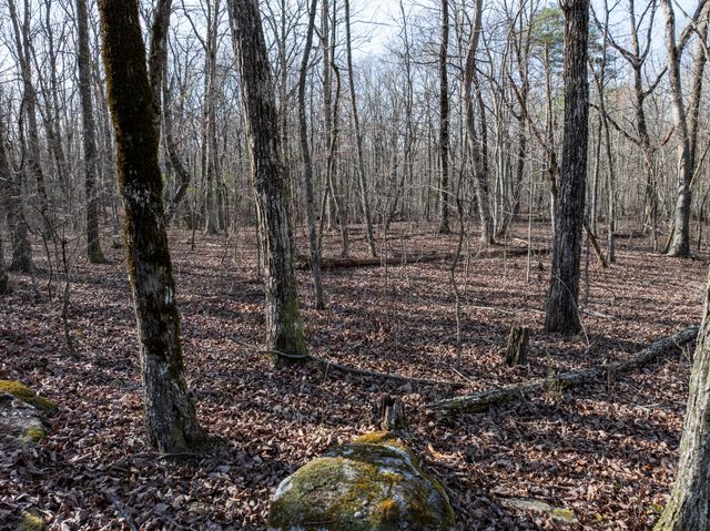 0 Timberwood Trace, Tracy City, TN 37387