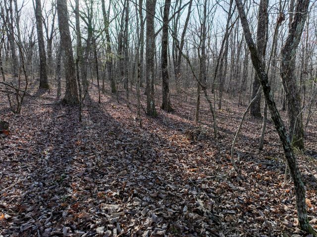 0 Timberwood Trace, Tracy City, TN 37387