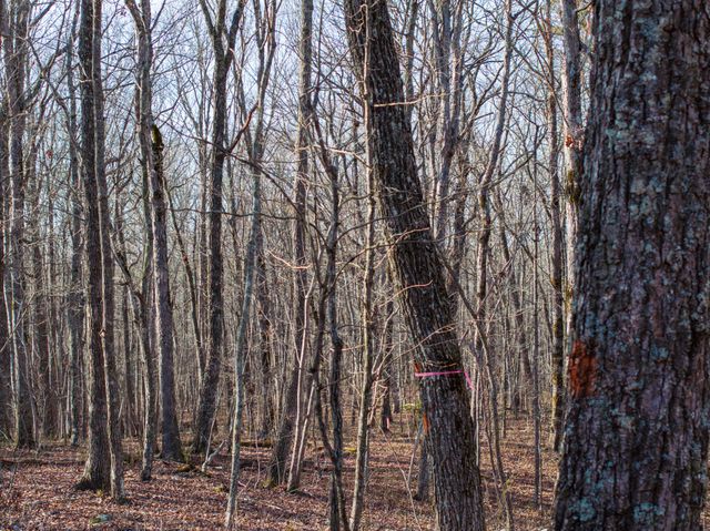 0 Timberwood Trace, Tracy City, TN 37387