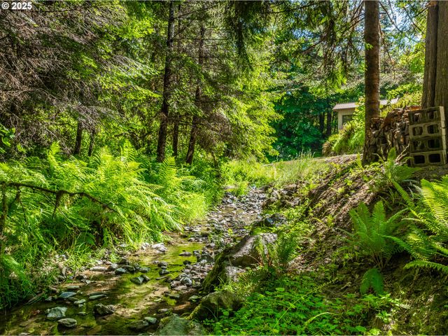 51256 SALMON GULCH Rd, Myrtle Point, OR 97458