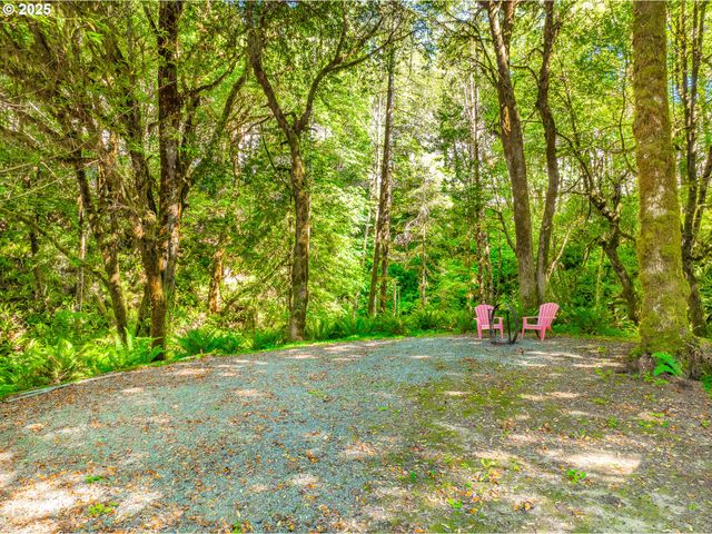 51256 SALMON GULCH Rd, Myrtle Point, OR 97458