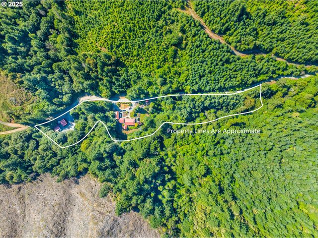 51256 SALMON GULCH Rd, Myrtle Point, OR 97458