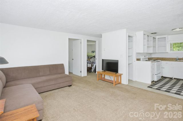 51 & 59 Gudger Road, Candler, NC 28715