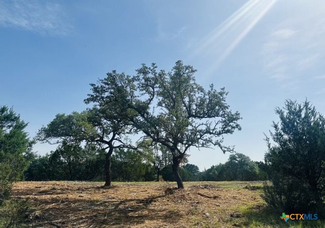 TBD Lot 4 Rojo Lane, Burnet, TX 78605