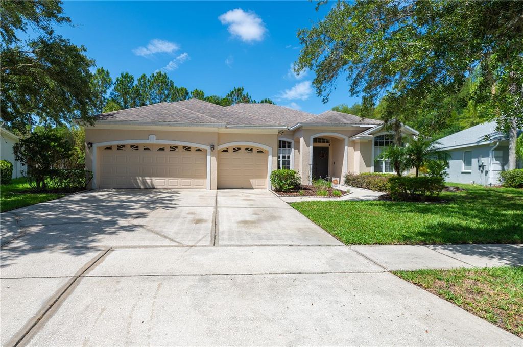 6120 CEZANNE AVENUE, Lutz, FL 33558