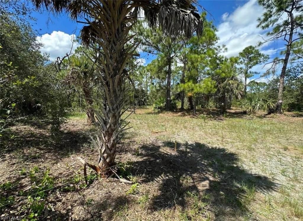 28100 Laurelwood DR, PUNTA GORDA, FL 33955 — photo 4