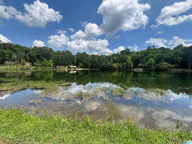 526 CAHABA SPRINGS DRIVE, Trussville, AL 35173