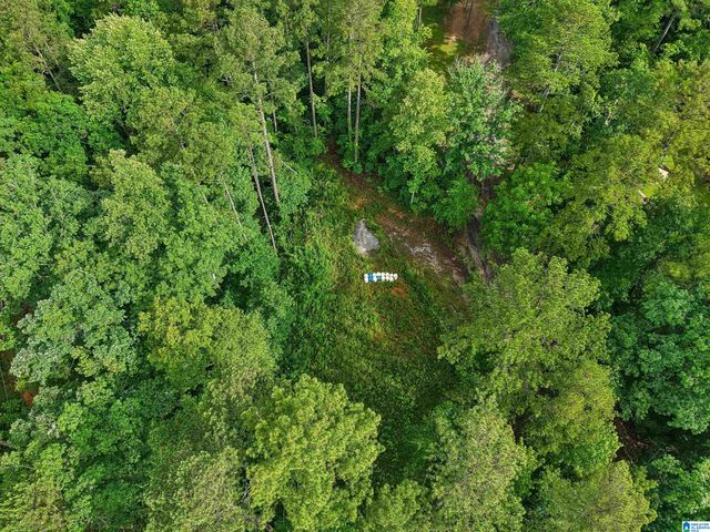 526 CAHABA SPRINGS DRIVE, Trussville, AL 35173