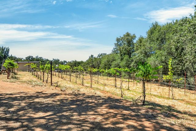2402 Deer Valley Rd, Rescue, CA 95672