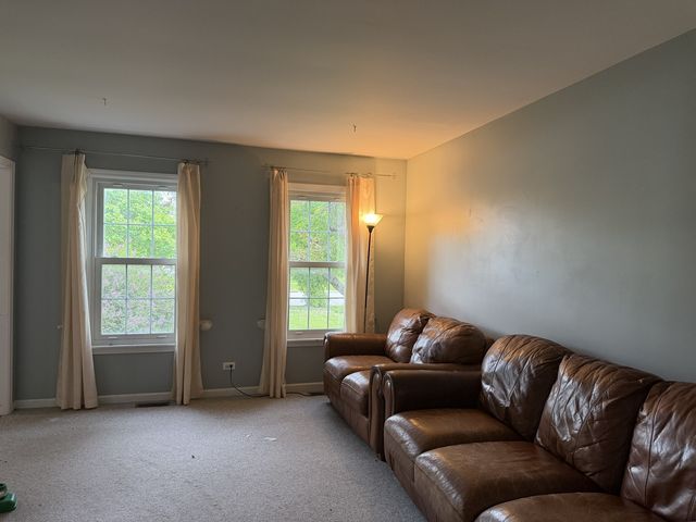 29w026 103rd Street, Naperville, IL 60564