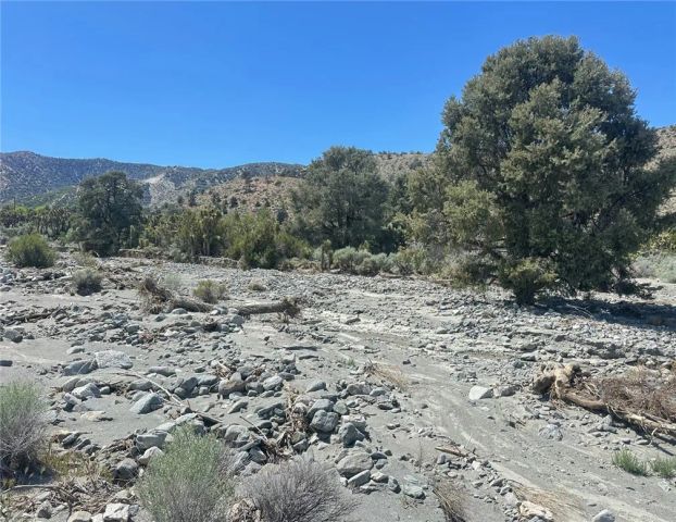 0 Creekside Rd, Pinon Hills, CA 92372