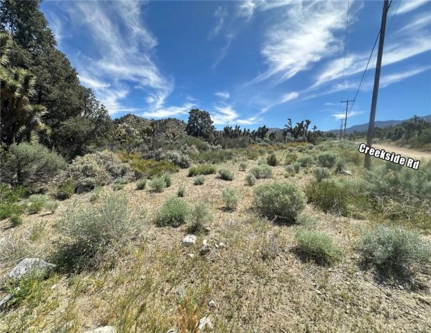 0 Creekside Rd, Pinon Hills, CA 92372