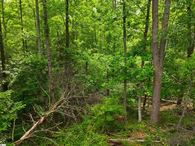 225 Meadow Brook Lane, Pickens, SC 29671