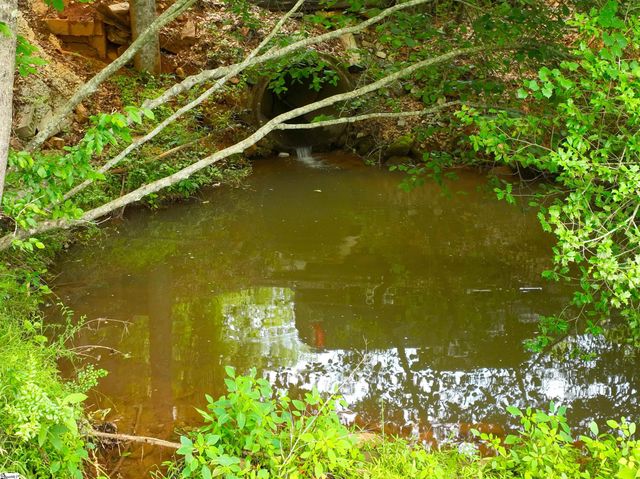 225 Meadow Brook Lane, Pickens, SC 29671