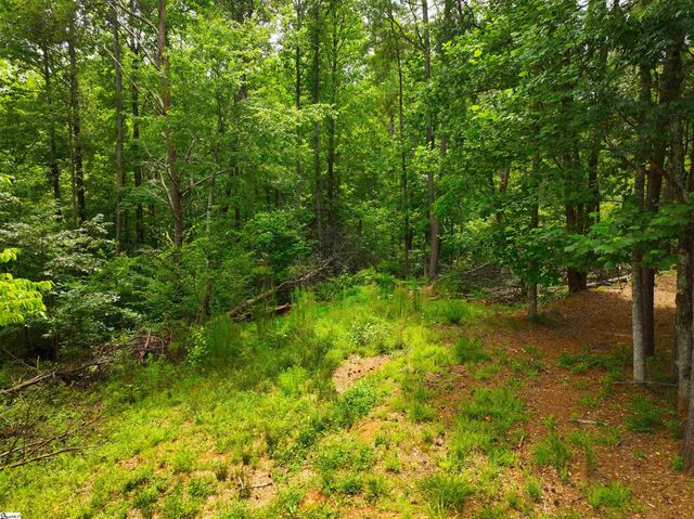 225 Meadow Brook Lane, Pickens, SC 29671