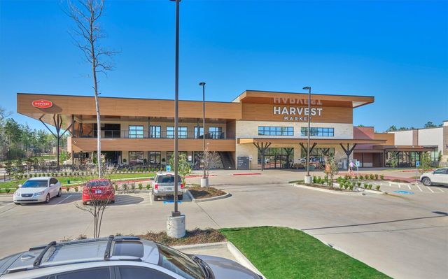 127 Red Deer Place, Montgomery, TX 77316