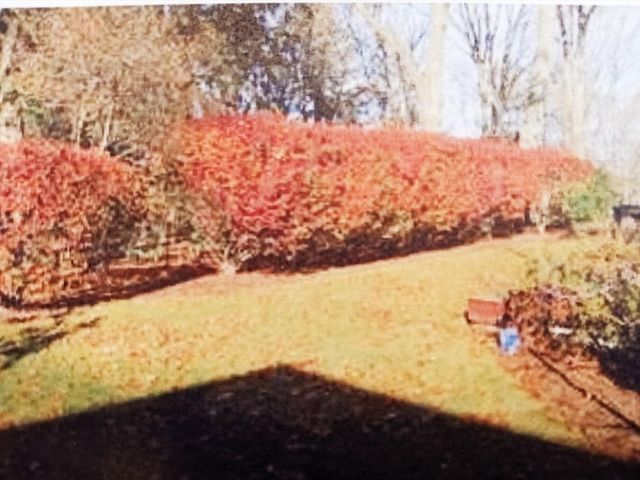133 Winslow Road 133, Newton, MA 02468