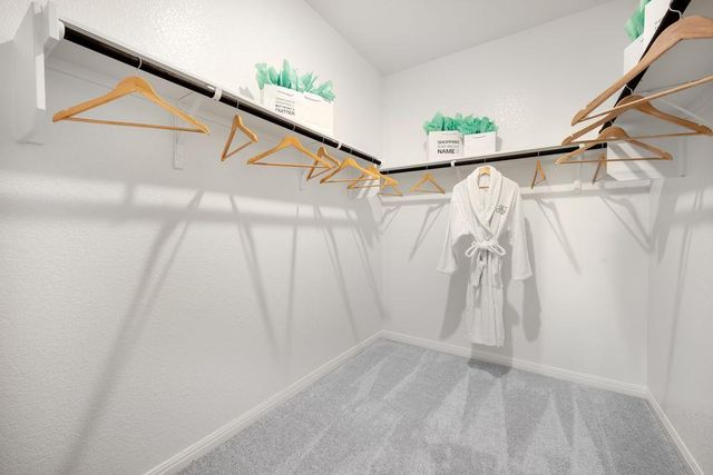 135 Mad Pupper DR, Buda, TX 78610