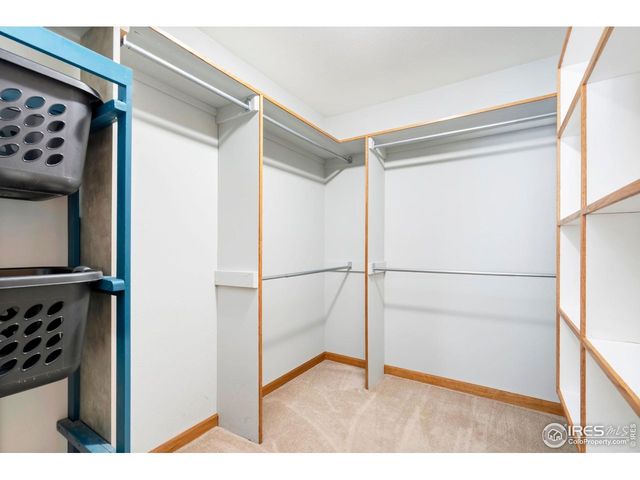 610 Oak St, Windsor, CO 80550