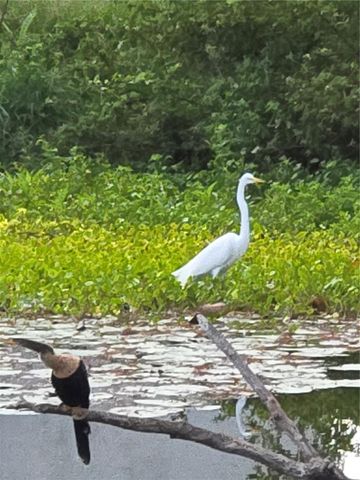 3534 TUNDRA ROAD, Venice, FL 34293