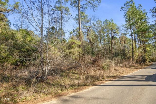 TBD Cr 201 Road, Plantersville, TX 77363