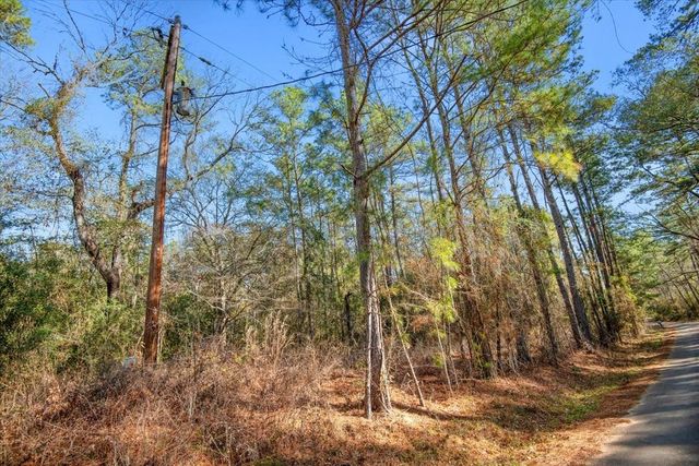 TBD Cr 201 Road, Plantersville, TX 77363