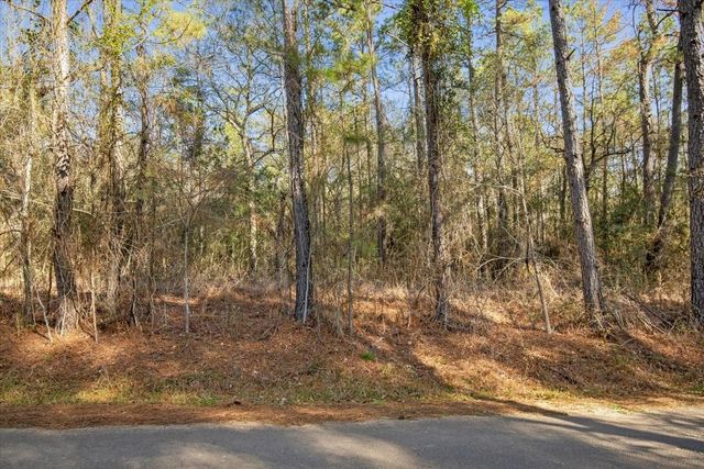 TBD Cr 201 Road, Plantersville, TX 77363