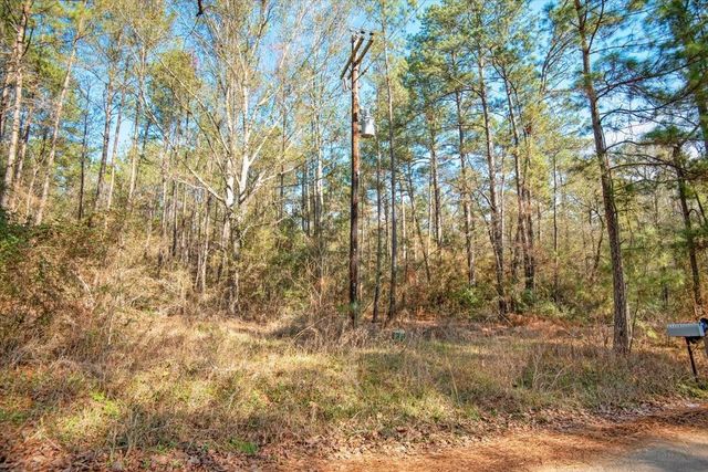 TBD Cr 201 Road, Plantersville, TX 77363