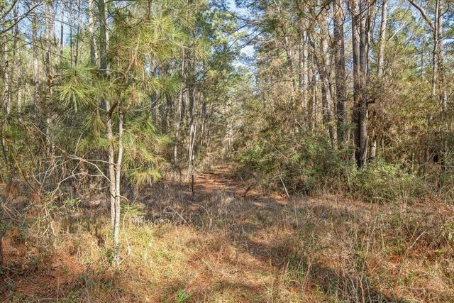 TBD Cr 201 Road, Plantersville, TX 77363