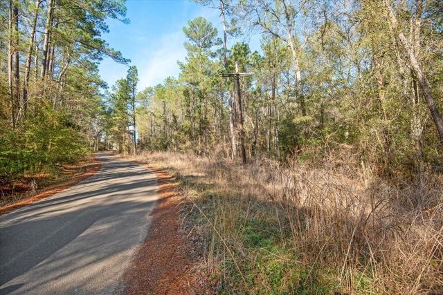 TBD Cr 201 Road, Plantersville, TX 77363