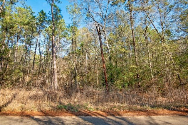 TBD Cr 201 Road, Plantersville, TX 77363