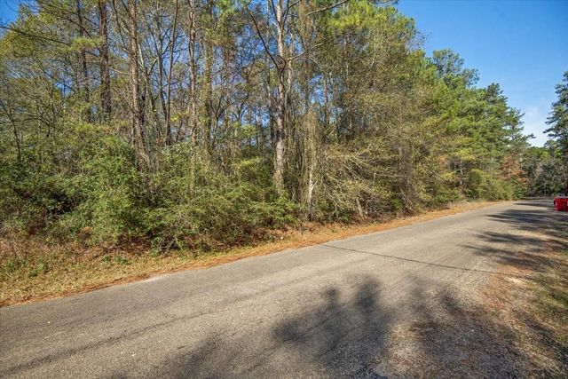 TBD Cr 201 Road, Plantersville, TX 77363