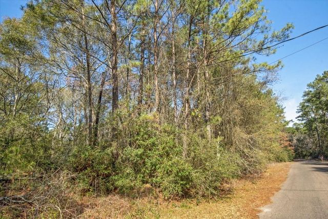 TBD Cr 201 Road, Plantersville, TX 77363