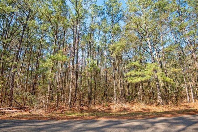 TBD Cr 201 Road, Plantersville, TX 77363