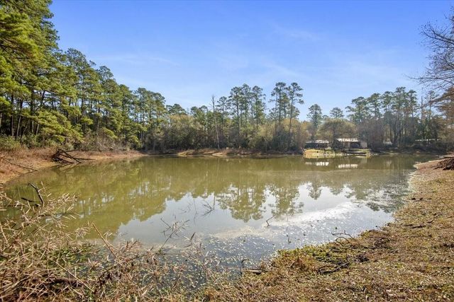 TBD Cr 201 Road, Plantersville, TX 77363