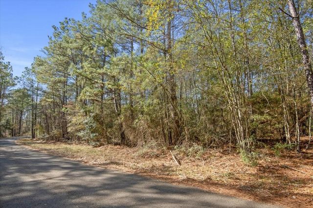 TBD Cr 201 Road, Plantersville, TX 77363